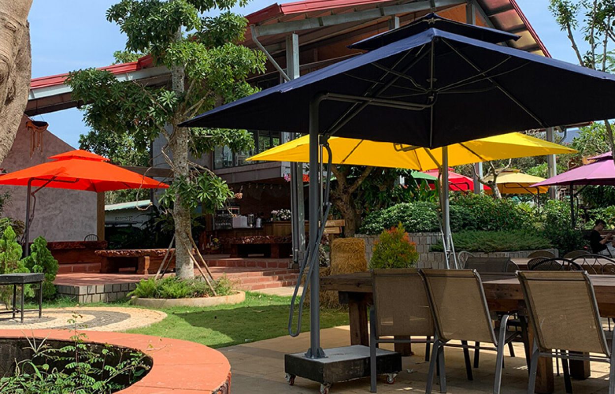 du-che-quan-cafe-1